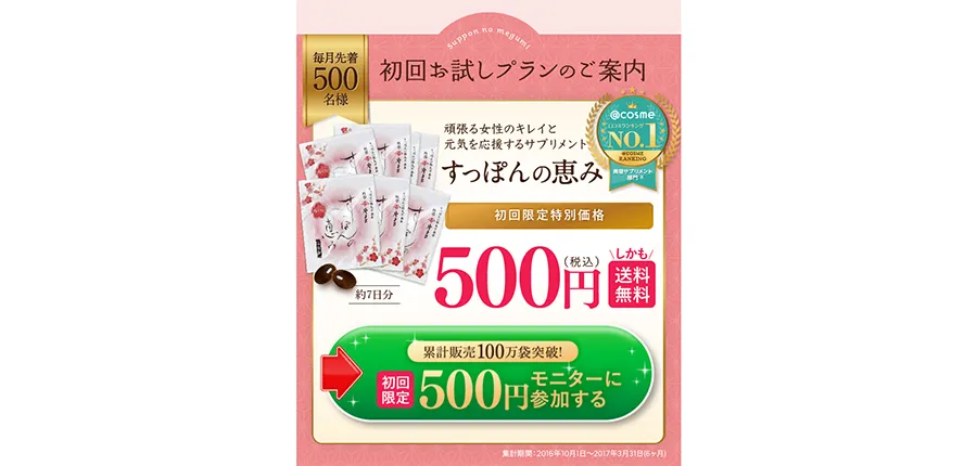 500円でお試し