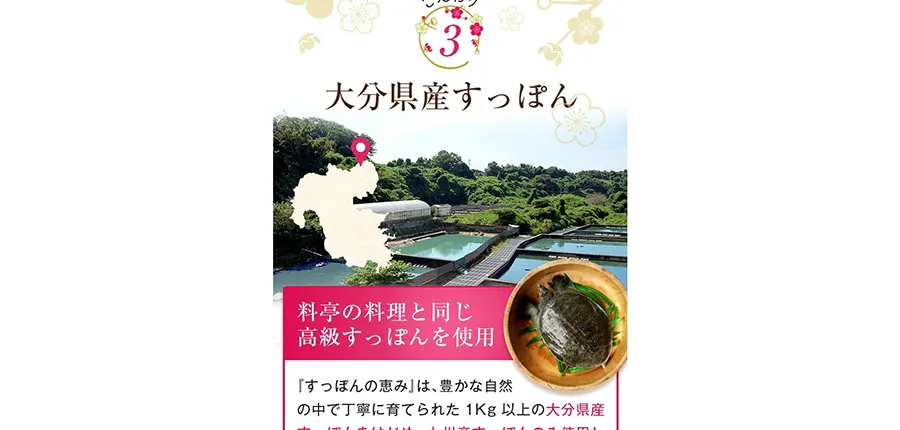 大分県産すっぽん
